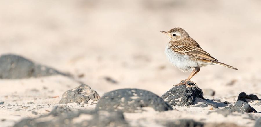 Φωτογραφία ατομικής ψυχοθεραπείας